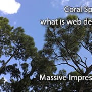 Coral Springs What is Web Design