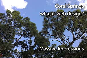 Coral Springs What is Web Design
