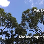 Dade Web Design