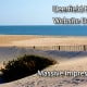 Deerfield Beach Website Design