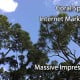 Coral Springs Internet Marketing website