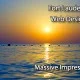 Fort Lauderdale Web Designers