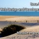 Boca Raton Website Design and Development