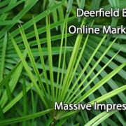 Deerfield Beach Online Marketing