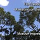 Fort Lauderdale Marketing on the Web