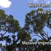 West Palm Beach Web Design