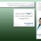international advertising campaigns work