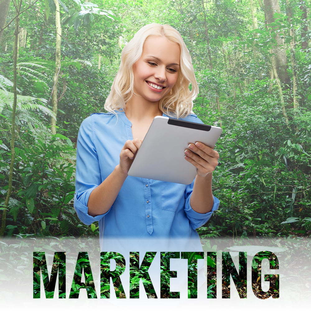 Marketing with Massive Impressions, Boca Raton, FL