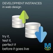 development instances in web design