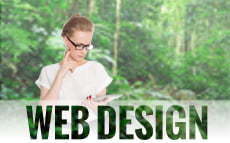 web design