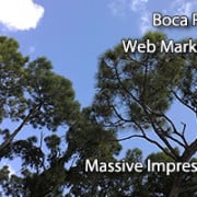 boca raton web marketing