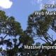 boca raton web marketing