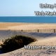 delray beach web marketing