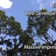 florida web developement