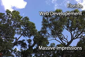 florida web developement