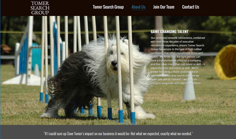Executive-Search-Website-Design-Four