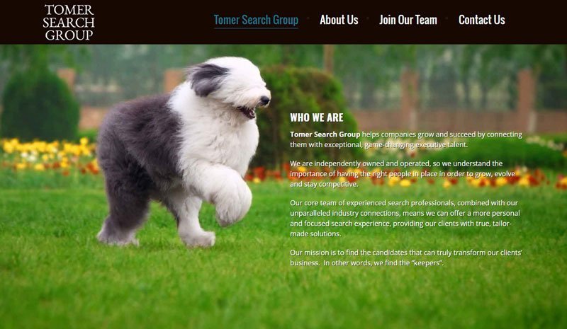 Executive-Search-Website-Design-Three